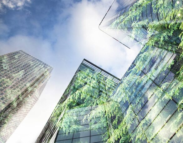 budapesti takarítócég